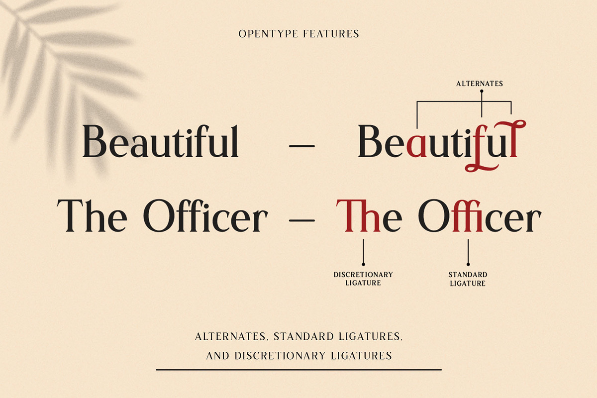 Sochelia - Modern Serif Font preview 3