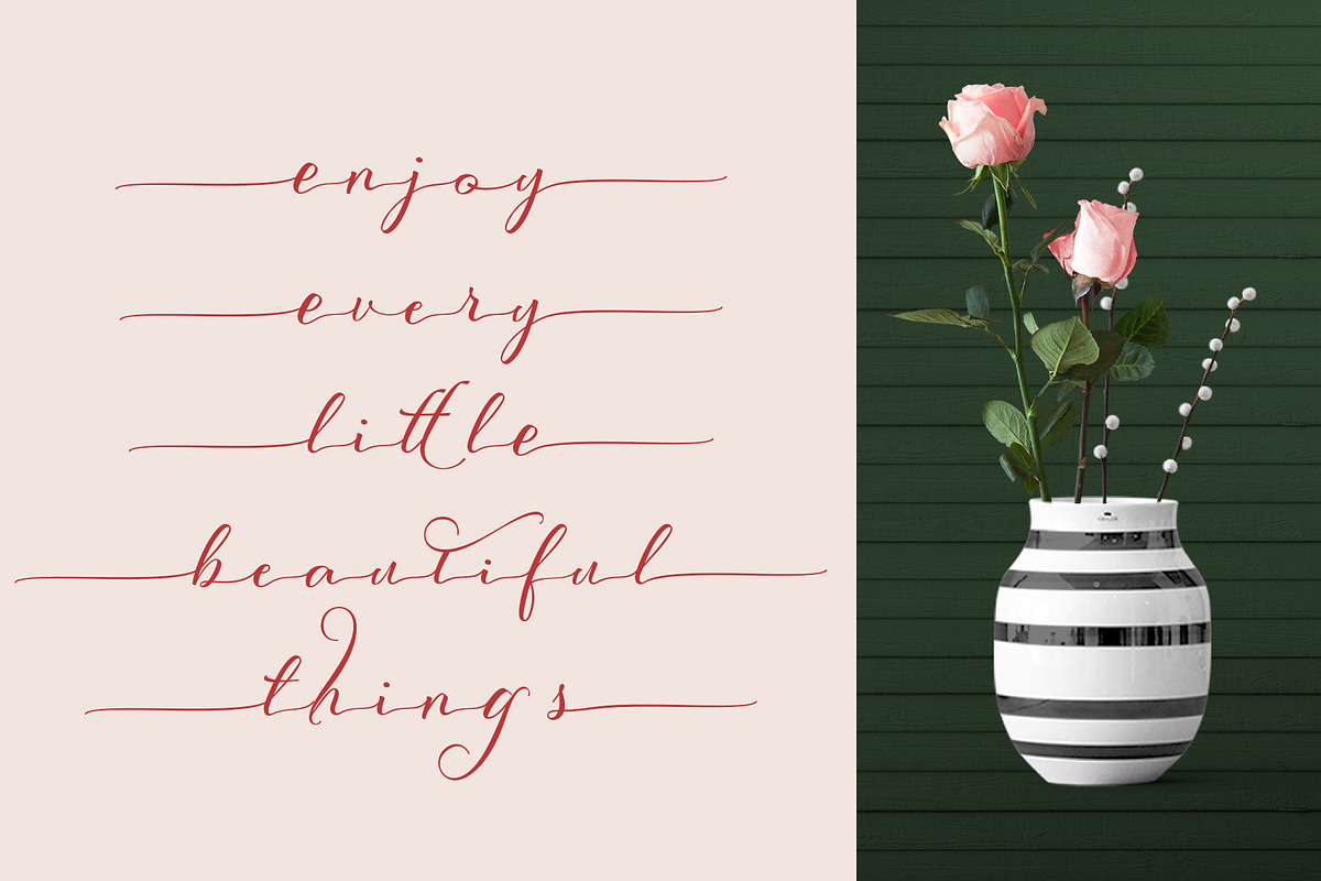 Scriptic Wilder, a Script Font by Fontdroe (Photo 10 of 14)