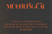 Redland, a Serif Font by FactoryType Studio (Thumbnail 9 of 10)