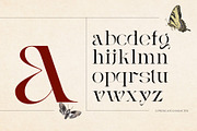 Vintage Agriqy - Modern Logo Serif, a Serif Font by Nirmana Visual (Thumbnail 2 of 6)