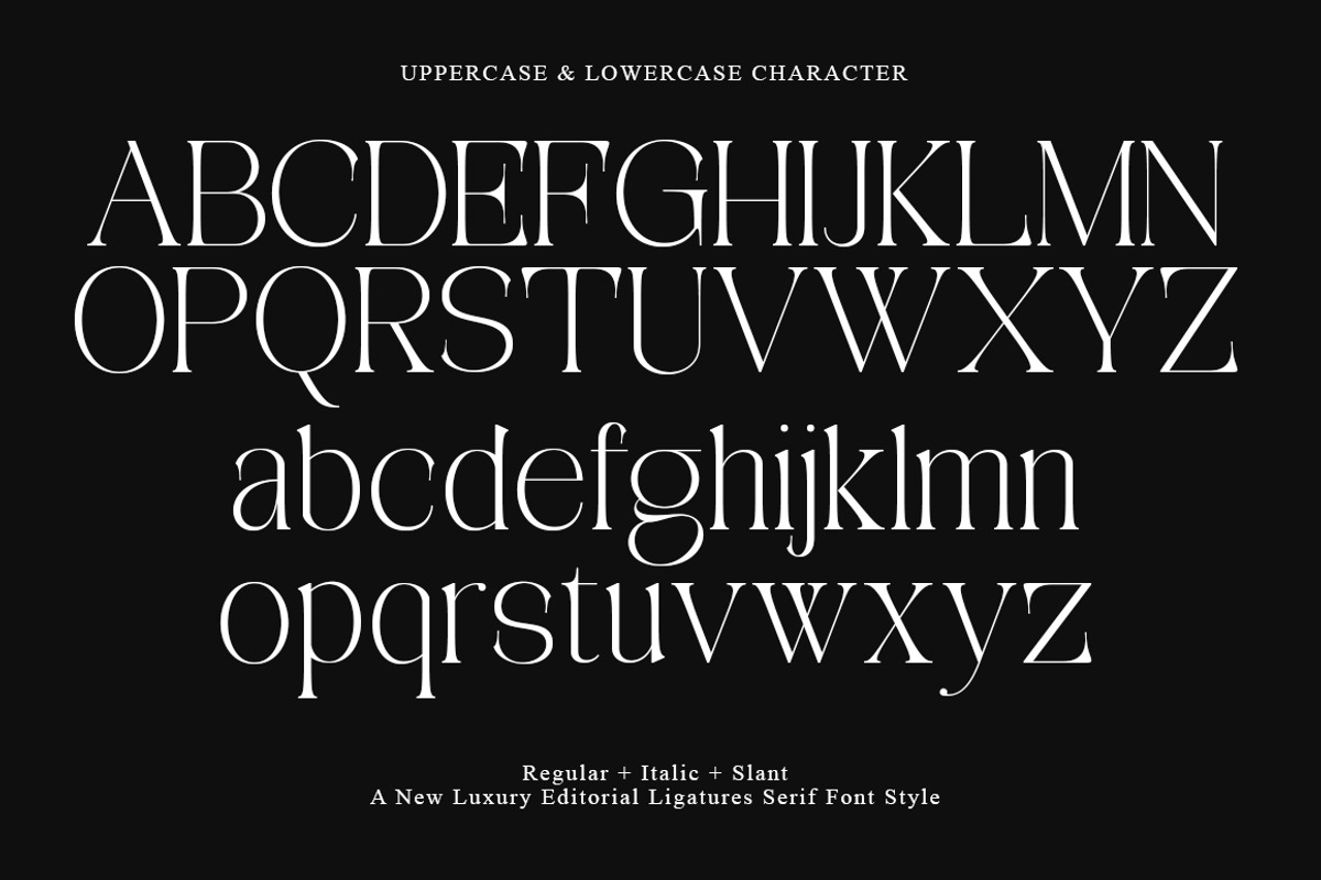 Aviluero Rasnora | 27 Font Files, a Serif Font by IM Studio (Photo 12 of 13)