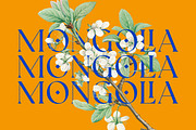Wolfpack Elegant Stylish Font, a Serif Font by Vampstudio (Thumbnail 2 of 14)