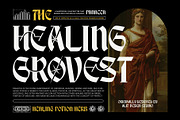 Break Roman Typeface, a Blackletter Font by alit design (Thumbnail 2 of 17)