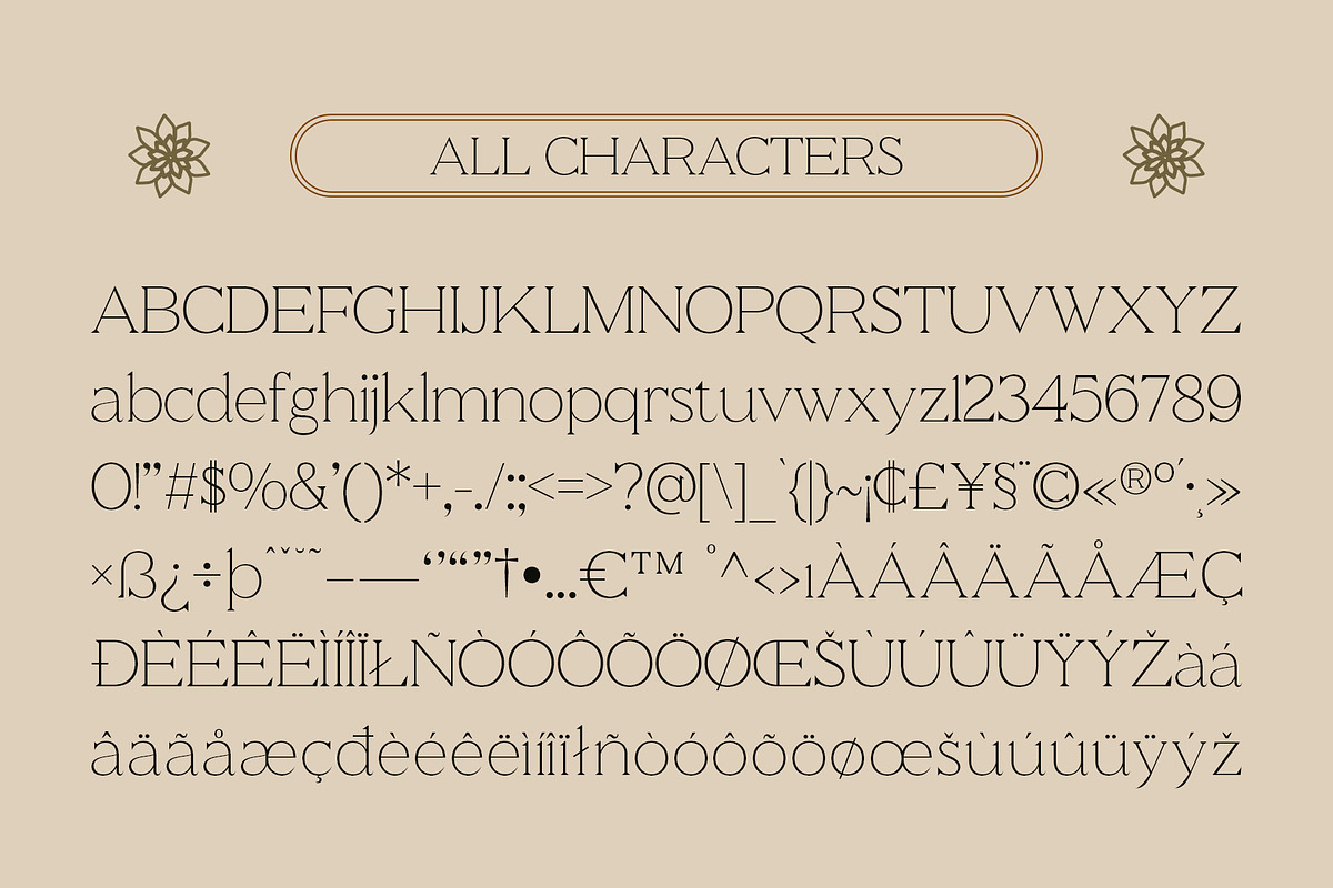 CS Wilona – Serif Typeface, a Serif Font by Craft Supply Co. (Photo 8 of 8)