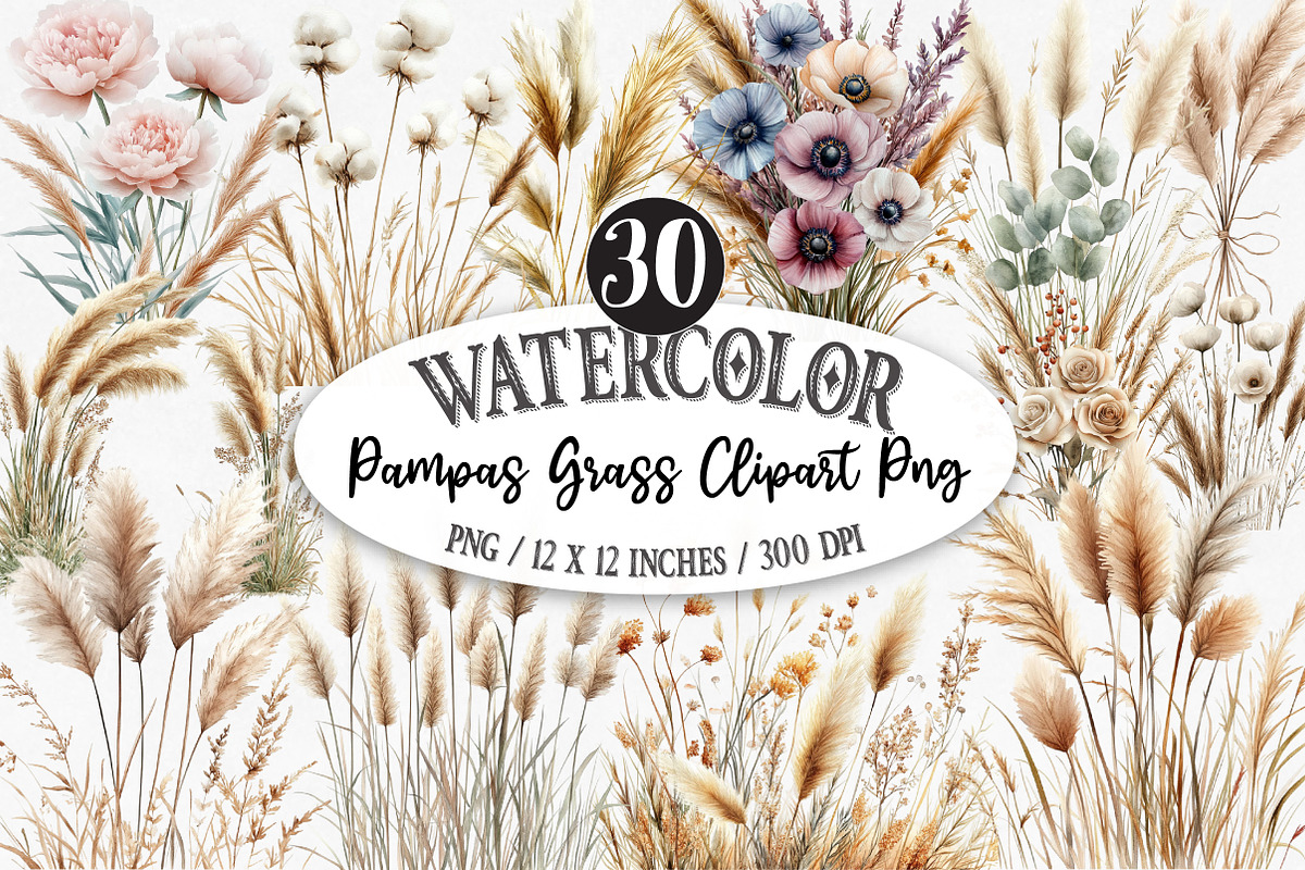 Watercolor Pampas Grass Clipart Png, an Illustration by Designking (Photo 1 of 5)