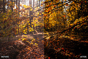 Misty Autumn Forest Presets, a Preset Add-On by AAA Presets (Thumbnail 12 of 13)