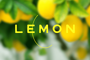 Zephyr - Handwritten Font, a Handwritten Font by Luna Shop (Thumbnail 4 of 5)
