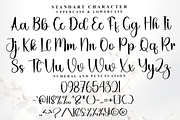 Daytime, a Handwritten Font by FreshTypeINK (Thumbnail 5 of 8)