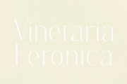 REGOZA//Typeface Slim Serif, a Serif Font by Kleffont Studio (Thumbnail 9 of 9)