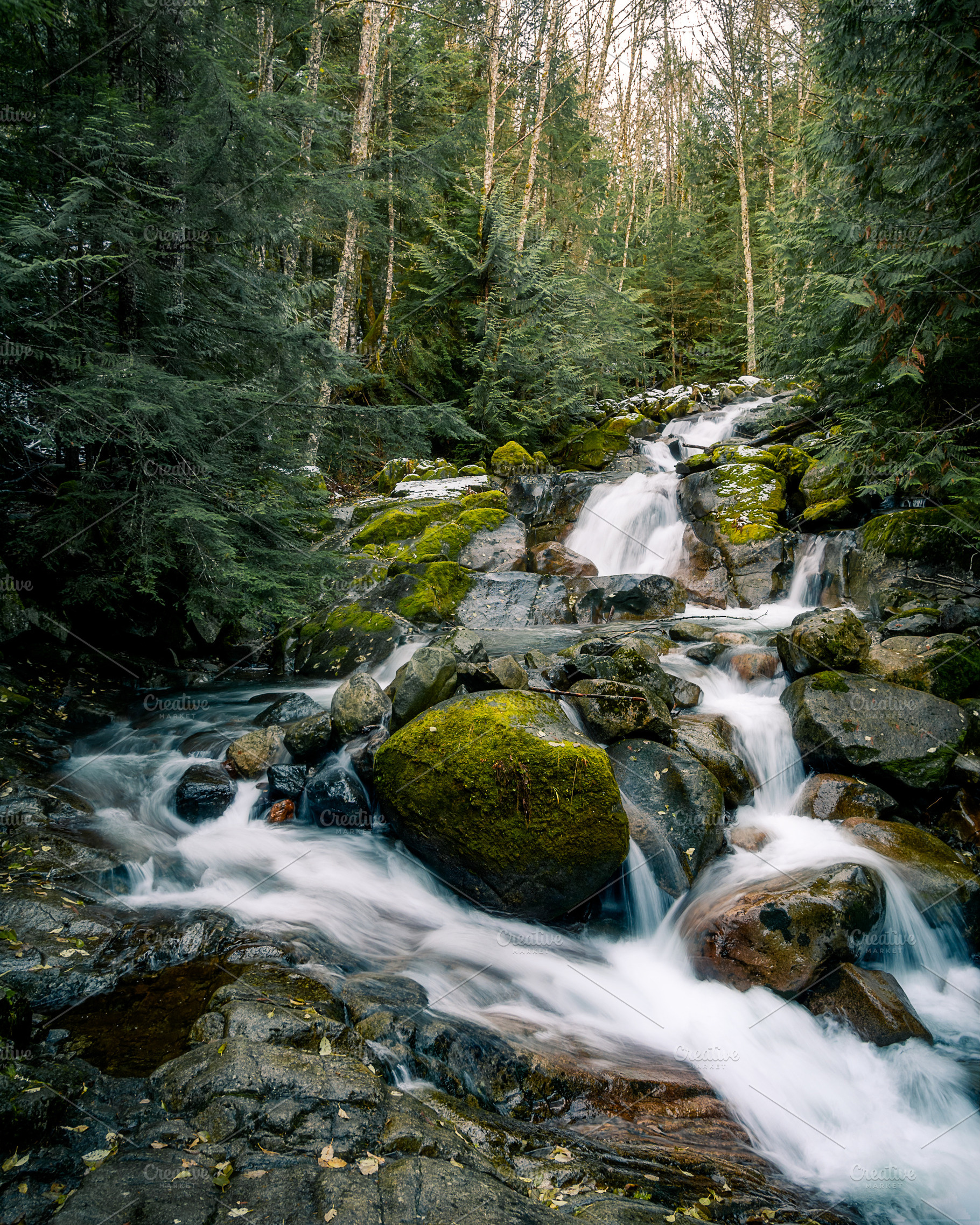 Waterfall in the Pacific Northwest, a Nature Photo by The Warehouse