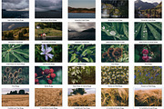 Landscape & Nature: 333 Stock Photos, a Nature Photo by PhotoMarket (Thumbnail 7 of 18)
