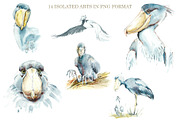 Watercolor Sketches Shoebill, an Animal Illustration by Budogoshch (Thumbnail 4 of 6)