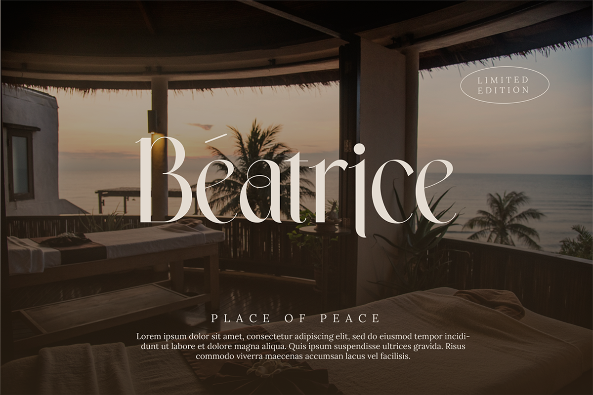 Wastogi Beautiful Serif, a Serif Font by Creatype Studio (Photo 5 of 10)