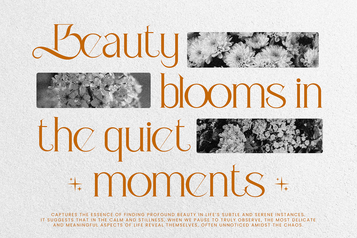 Butterfly - Aesthetic Serif Typeface, a Serif Font by Inviline.co (Photo 9 of 10)