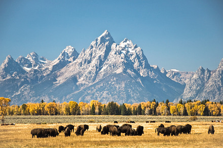 Grand Teton National Park Containing Reflection Grand And Teton preview 4