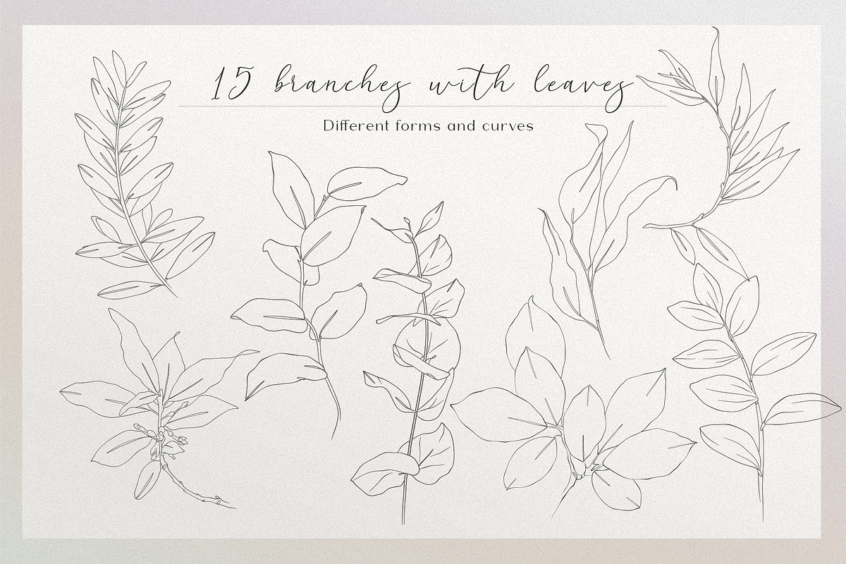 Blossom - floral line art, an Illustration by Anna.Klets (Photo 5 of 14)