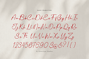Pelagrium | Handwritten Script, a Script Font by gracetype_studio (Thumbnail 10 of 12)