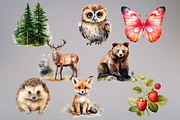 Woodland Animals Clipart Bundle, an Animal Illustration by Mash Mash Stickers (Thumbnail 9 of 9)