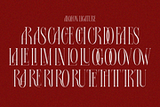 Alqeon, a Serif Font by zaaintype (Thumbnail 7 of 9)