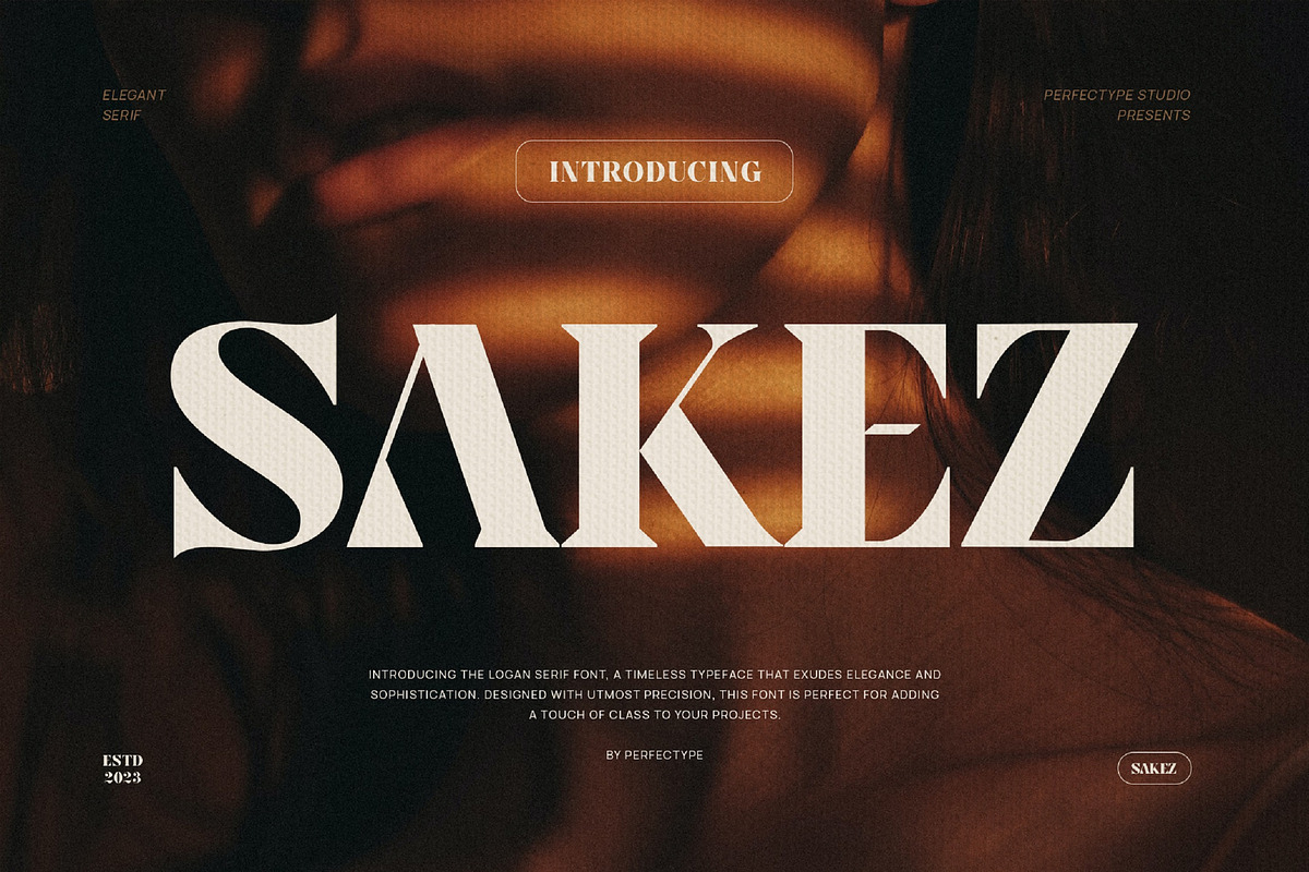 Sakez Elegant Serif Font Typeface, a Serif Font by Perfectype (Photo 1 of 7)