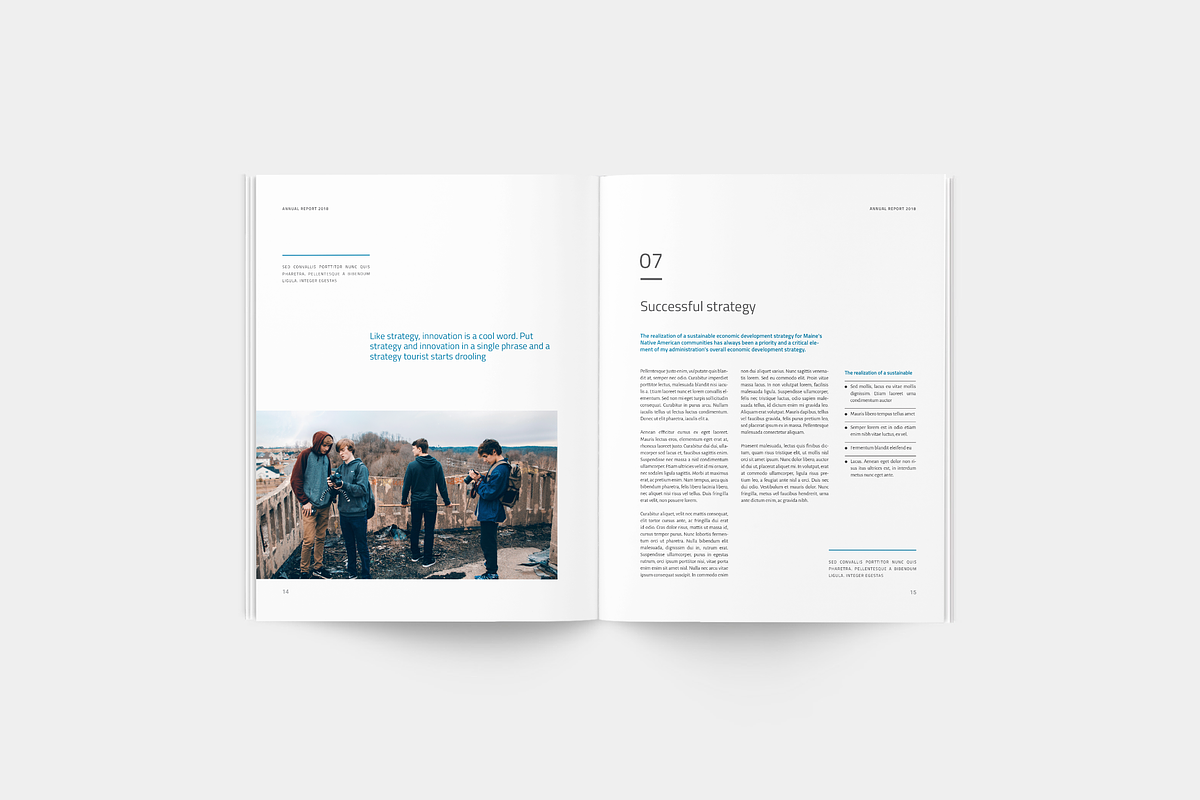 Annual Report, a Brochure Template by silukEight (Photo 8 of 12)