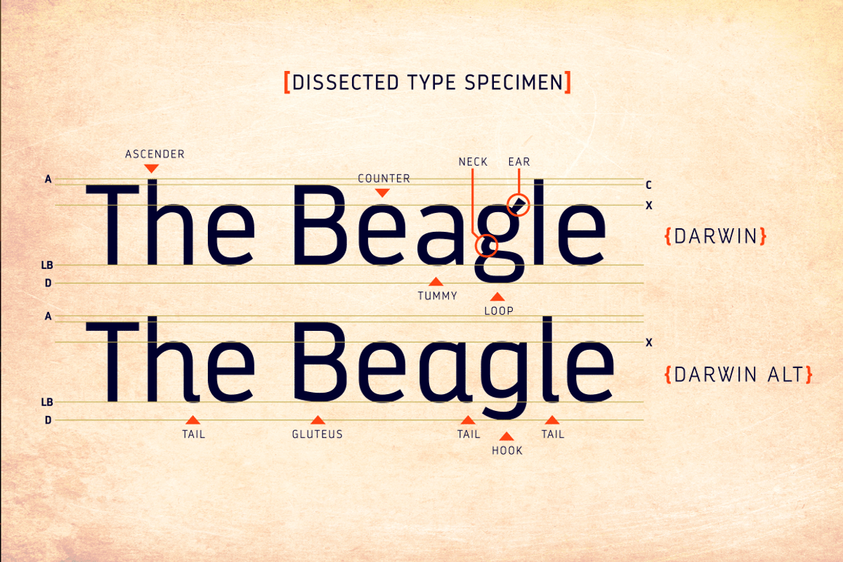 Darwin, a Sans Serif Font by Los Andes Type