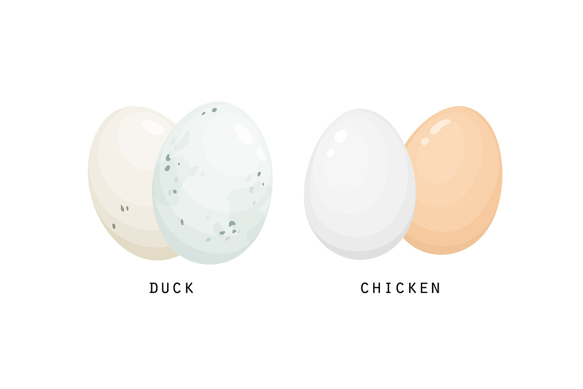 Different birds egg set, a Food Illustration by Good Studio (Photo 3 of 5)