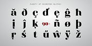 Magnel, a Serif Font by Eimantas Paskonis (Thumbnail 6 of 6)