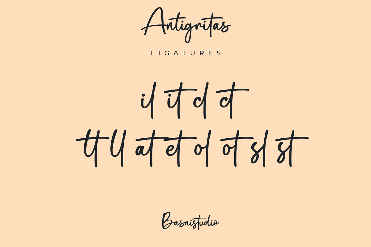 Antigritas – a Chic Handwritten Font, a Handwritten Font by Basnistudio (Photo 11 of 12)