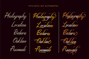 Crandleon Classy Script Typeface