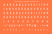 Oud Range - Variable Sport Font, a Slab Serif Font by RagamKata (Thumbnail 10 of 10)