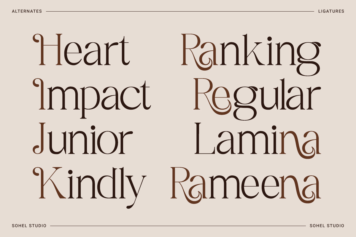 Rameena - Modern Elegant Serif, a Serif Font by Sohel Studio (Photo 10 of 10)