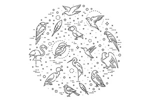 Set of Different Birds, an Outline Icon by Tettygreen