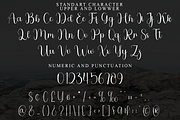 Spectacular, a Handwritten Font by FreshTypeINK (Thumbnail 6 of 8)