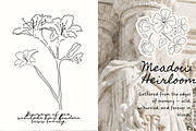 Wildflower Ink Atelier, a Decorative Illustration by The Journey Atelier (Thumbnail 13 of 19)