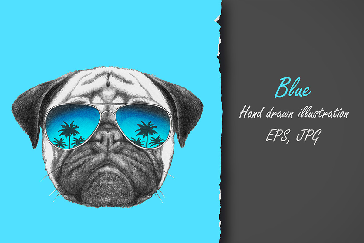 Pug Dog / Summertime, an Animal Illustration by Victoria_Novak (Photo 2 of 3)