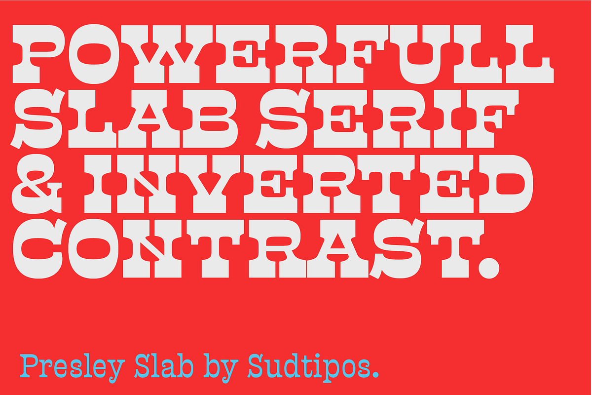 Presley Slab, a Font by Sudtipos (Photo 3 of 6)