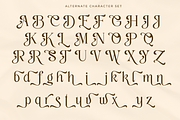 Classy Exclusive - Luxury Serif Font, a Serif Font by Say Studio (Thumbnail 12 of 13)