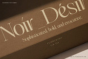 The Elfkin Editorial - Modern Serif, a Serif Font by SilverStag Type Foundry (Thumbnail 9 of 20)