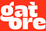 Gatore - Bold Display, a Sans Serif Font by Get Studio (Thumbnail 15 of 16)