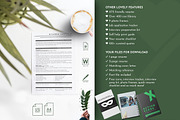 Customer Support Resume Template, CV, a Resume Template by Career Canvas (Thumbnail 5 of 11)