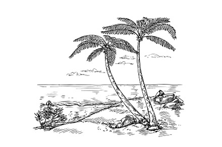 Sketch landscape with palm tree, an Illustration by winwin.art