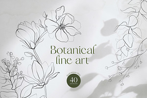 Botanical Line Art Collection