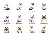 Ragdoll Cat Clipart, Ragdoll Kittens, an Animal Illustration by BrushstrokeArtGB (Thumbnail 3 of 9)