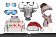 Bull / Wintertime, an Animal Illustration by Victoria_Novak (Thumbnail 3 of 4)