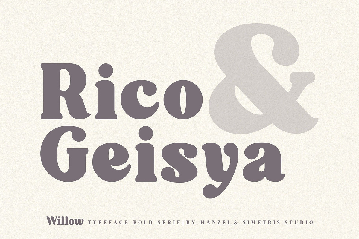 Willow. Typeface Bold Serif preview 8