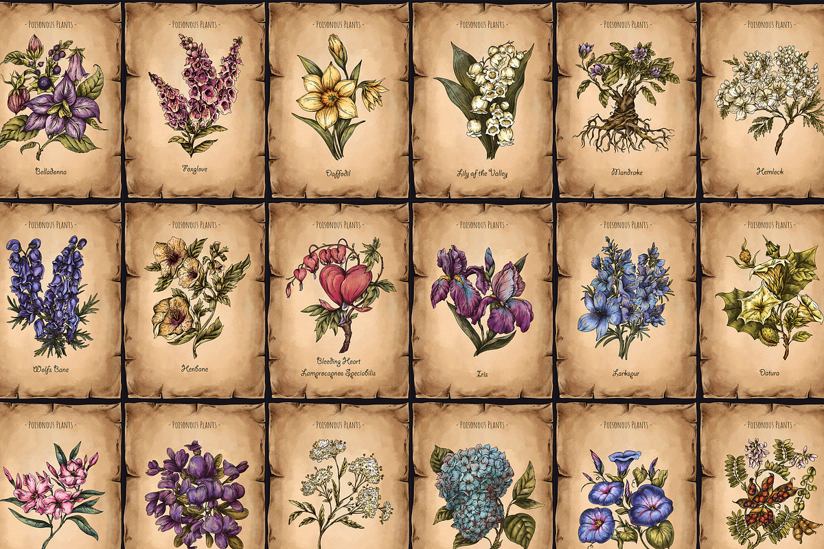 Poison Garden Witchcraft Clipart, an Object Illustration by Belusuab (Photo 4 of 16)