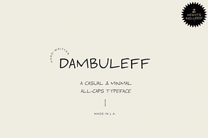 DAMBULEFF Minimal Handwritten Font