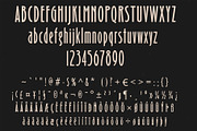 Arina Clasic Sans Serif Font, a Sans Serif Font by DCD Vector Co. (Thumbnail 6 of 6)
