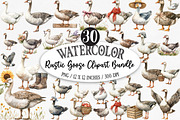 Watercolor Rustic Goose Clipart, an Illustration by Designking (Thumbnail 1 of 5)